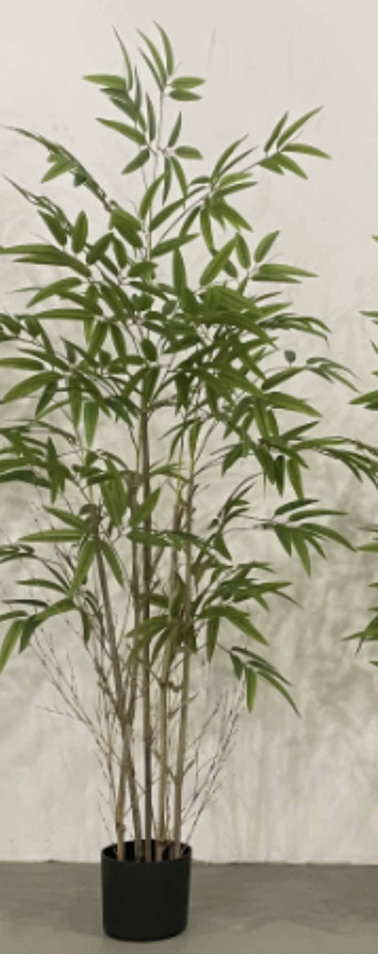 شجرة بامبو غصون خشب طبيعي طول ١٧٠ سم