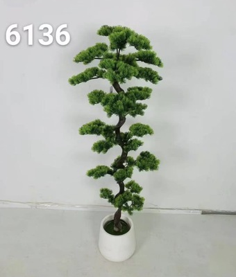 شجرة البونساي طول ١٦٠ سم