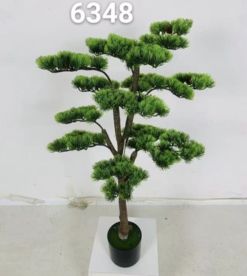 شجرة بونساي طول ١٢٠ سم